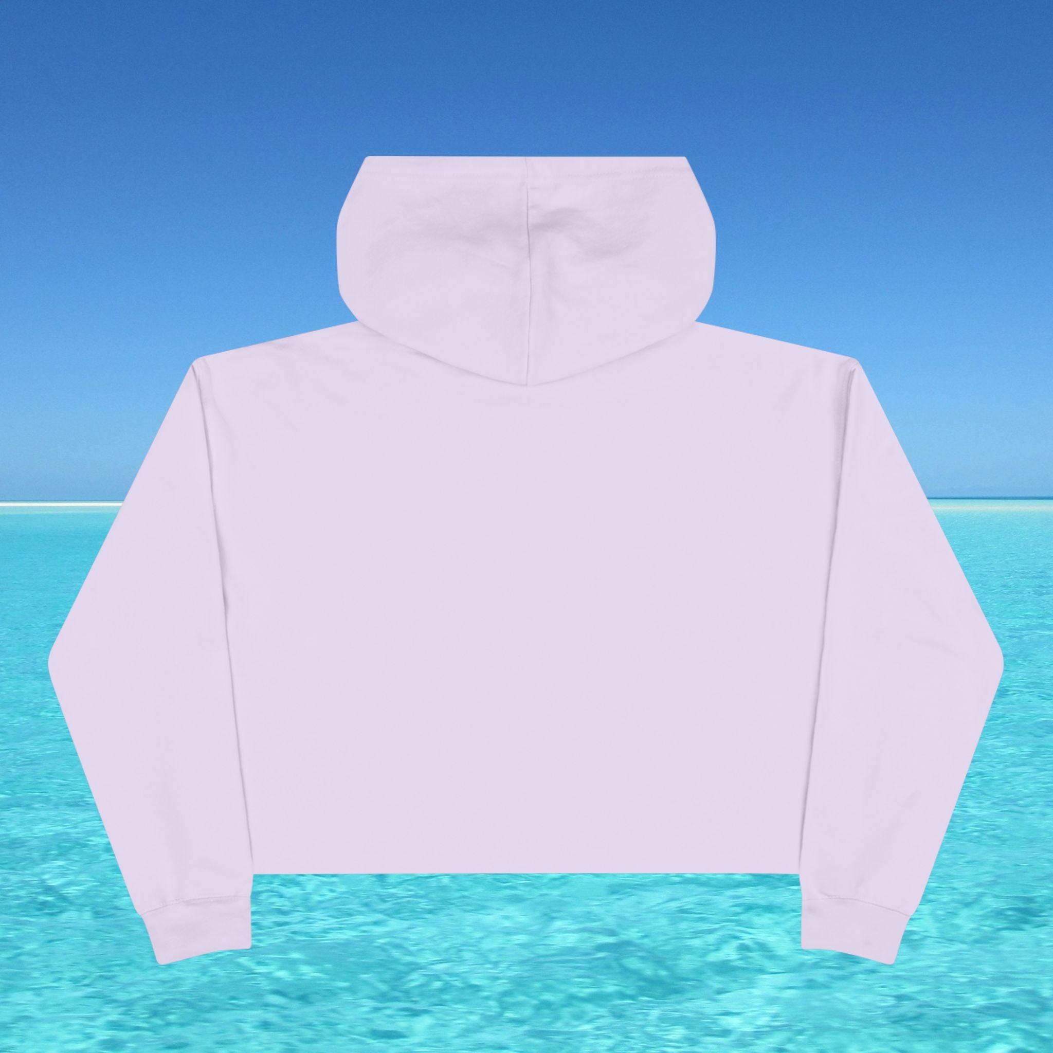 salty bum cropped hoodie pruple