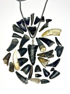 Fossilized Alligator Tooth Necklace