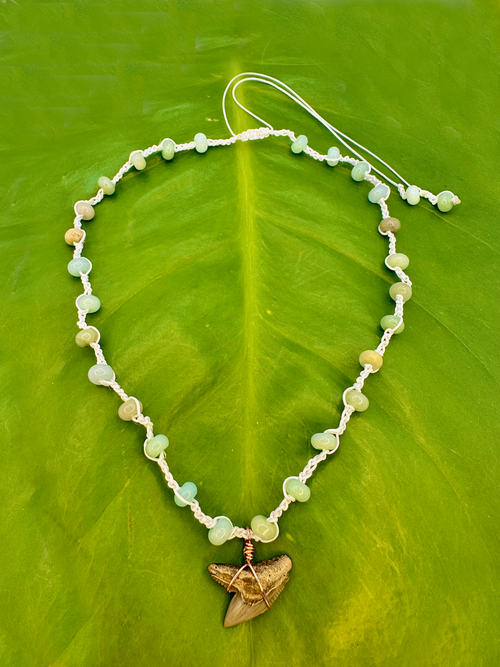 A beaded necklace with small pale green and beige round beads on a white cord, featuring a large shark tooth pendant, displayed on a bright green leaf.