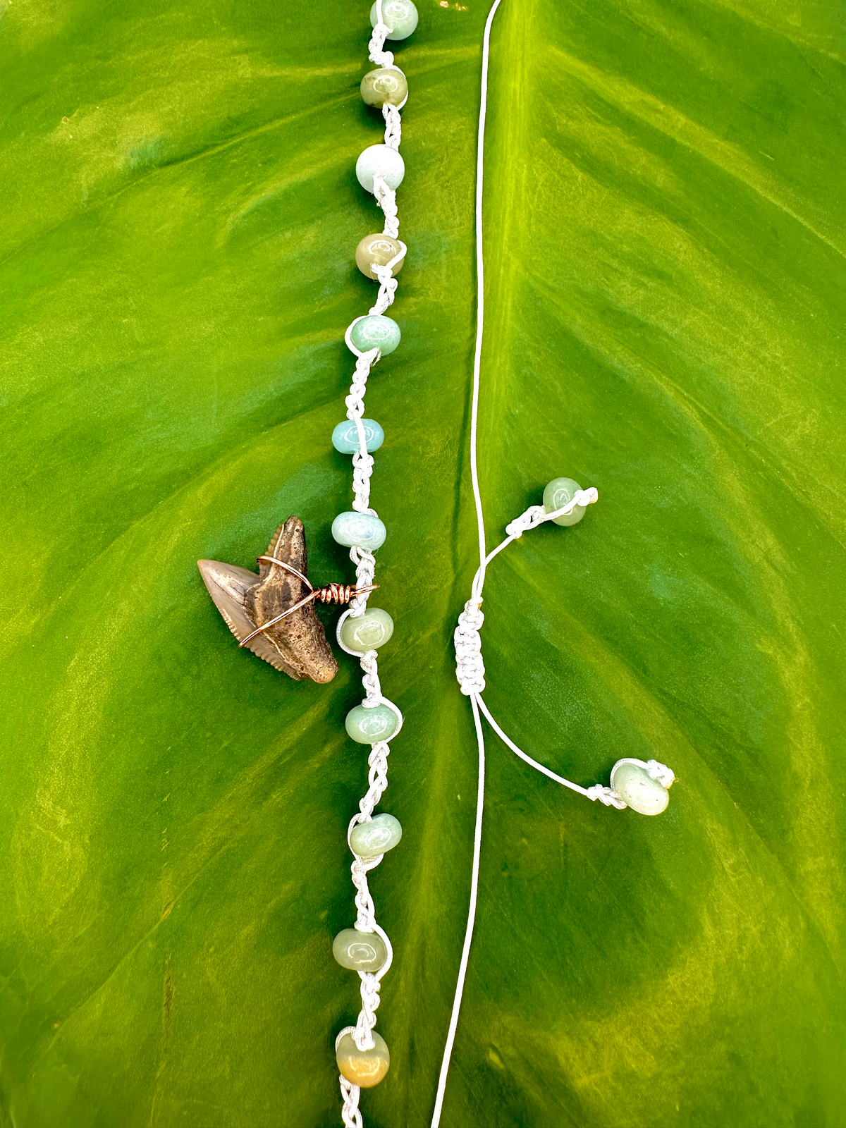 A beaded necklace with small pale green and beige round beads on a white cord, featuring a large shark tooth pendant, displayed on a bright green leaf.