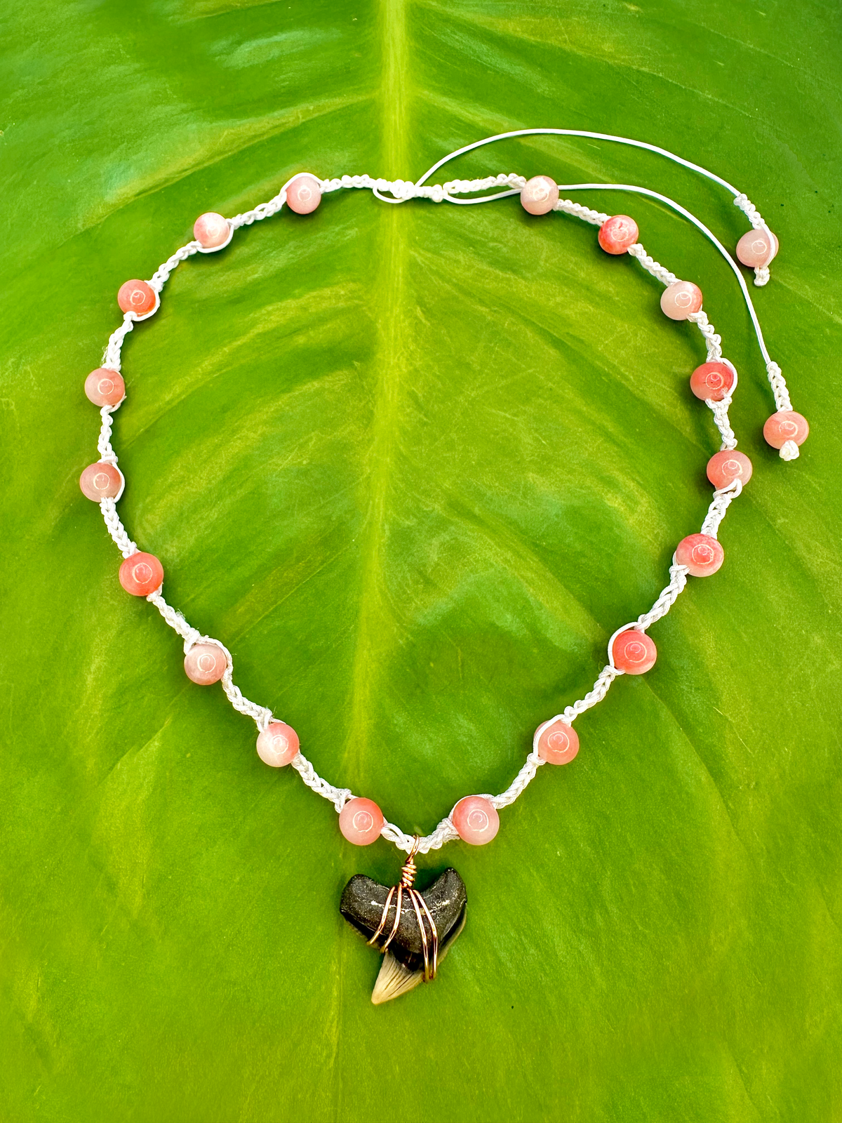 A beaded necklace with round pinkish-orange beads on a white cord, featuring a dark shark tooth pendant wrapped with copper wire, displayed on a large green leaf.