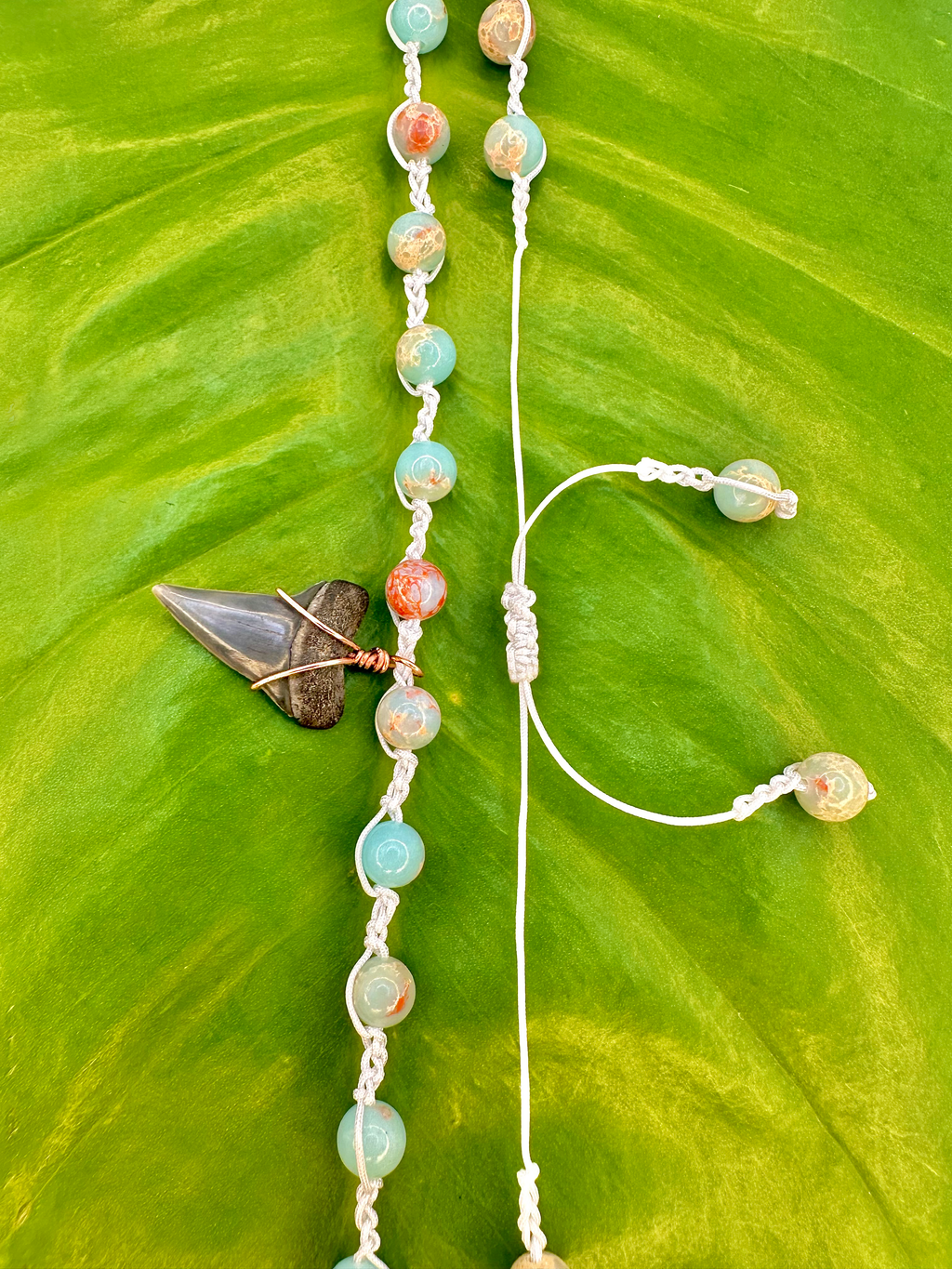 "Sky Blue Jasper" Mako Shark Tooth Necklace