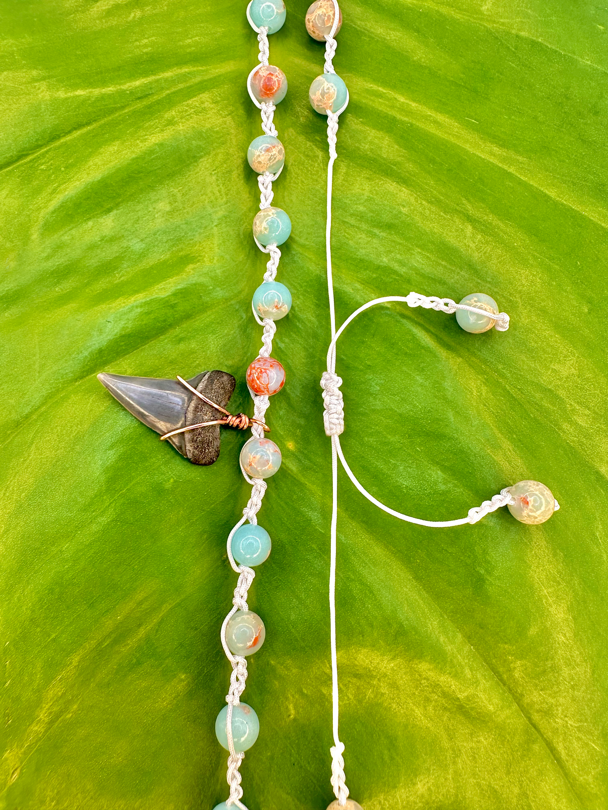 "Sky Blue Jasper" Mako Shark Tooth Necklace