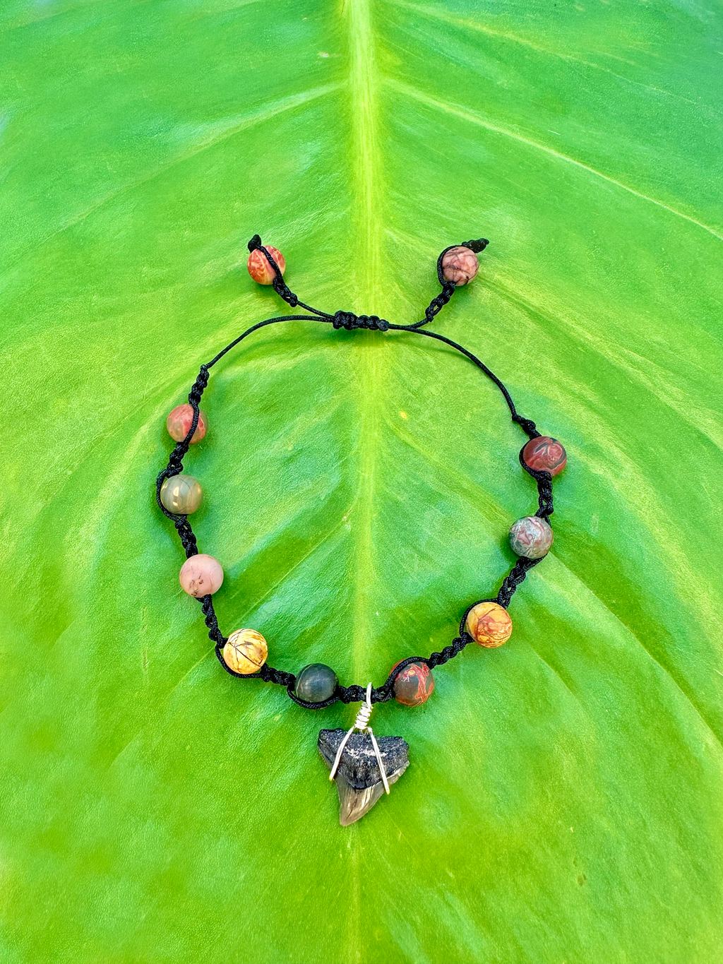 PICASSO JASPER SHARK BRACELET