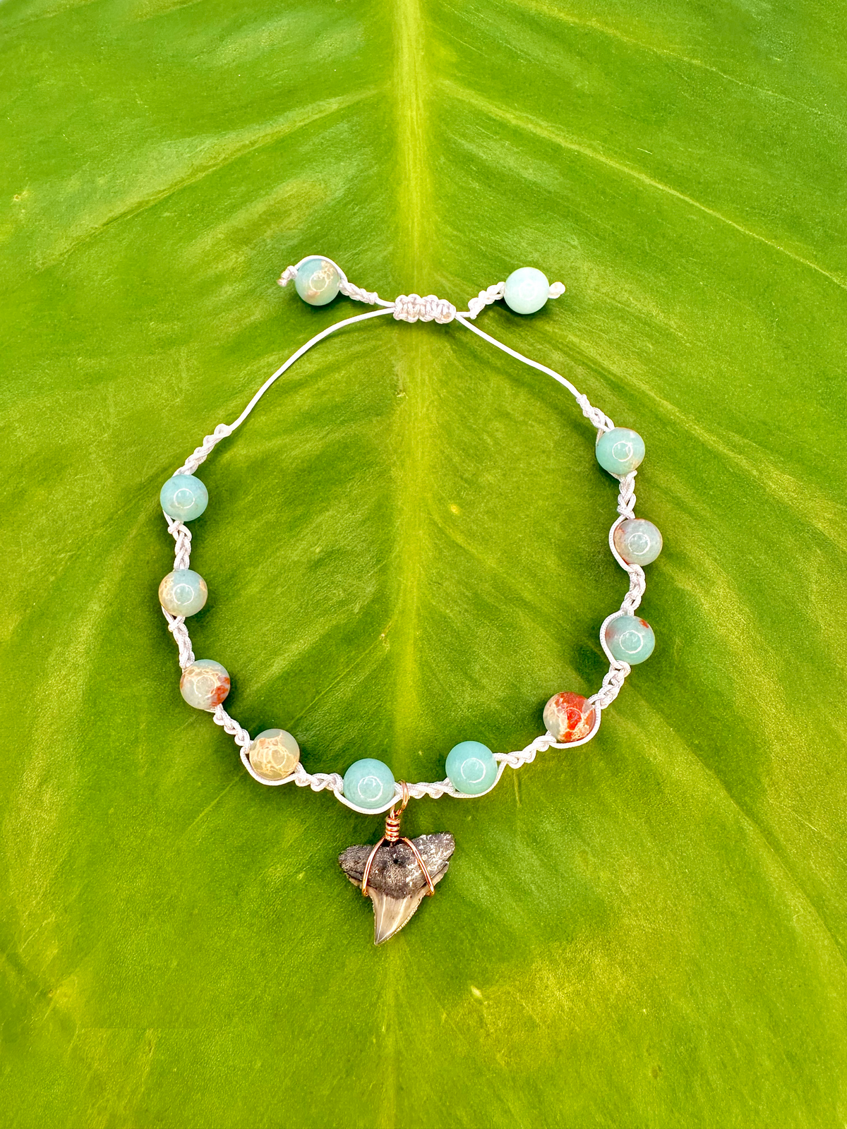 "Sky Blue Jasper" Bull Shark Bracelet