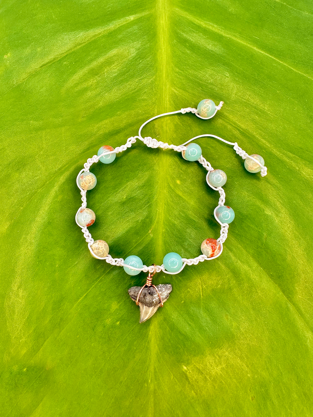 "Sky Blue Jasper" Bull Shark Bracelet