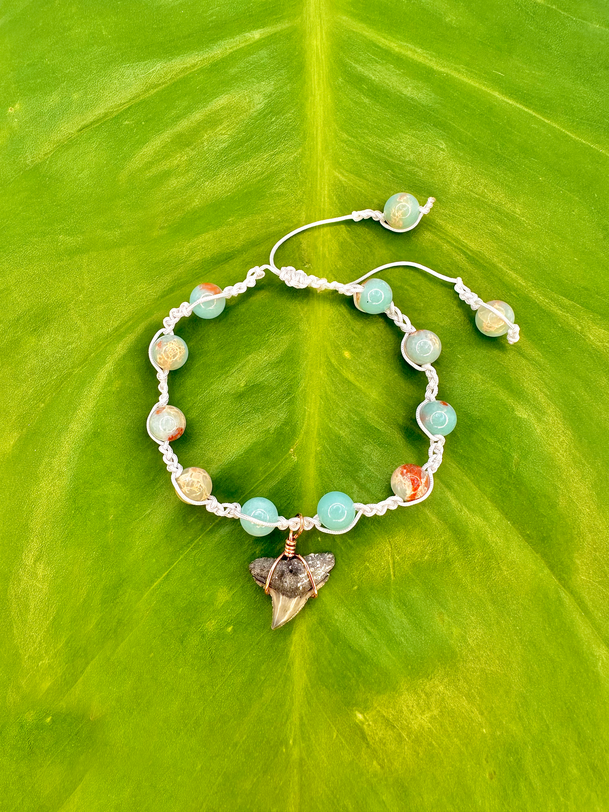 "Sky Blue Jasper" Bull Shark Bracelet
