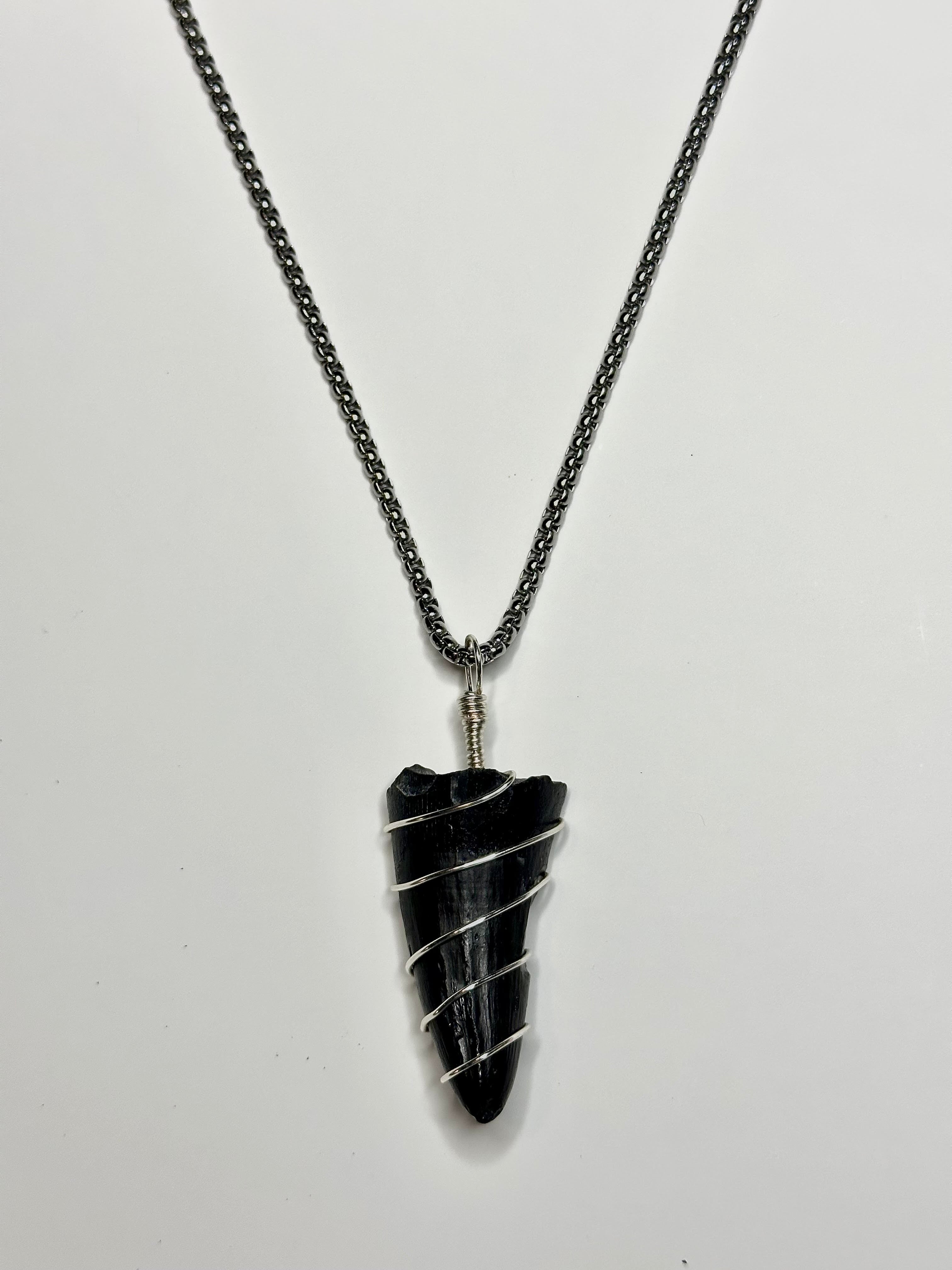 Fossilized Alligator Tooth Necklace